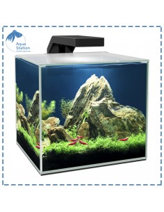 Cubo Ciano (c/filtro e iluminação) 2