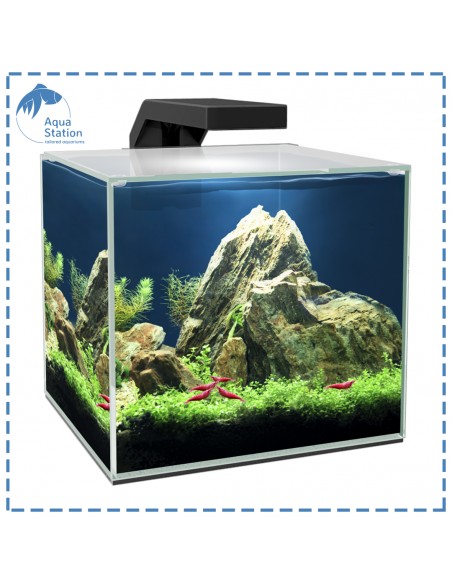 Cubo Ciano (c/filtro e iluminação)