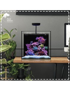 Waterbox, Cube 10 - Ideal para uso em água doce e marinha