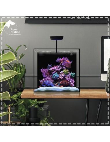 Waterbox, Cube 10 - Ideal para uso em água doce e marinha