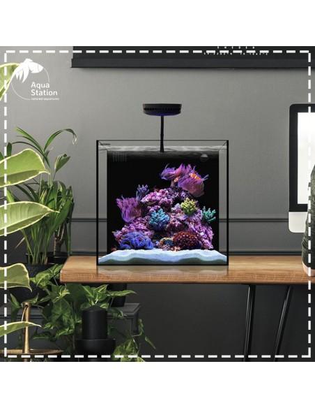 Waterbox, Cube 10 - Ideal para uso em água doce e marinha