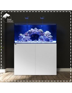 waterbox-silver-marine-351-45x45x45