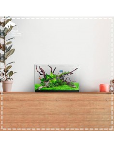 Aquário WaterBox Clear Mini