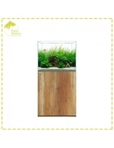 Aquário WaterBox Terra