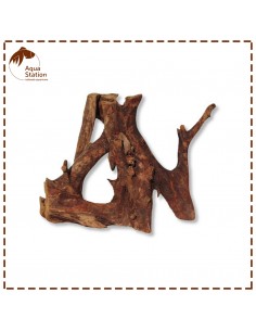 Raíz de mango super 2