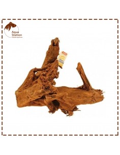 Raíz de mango super