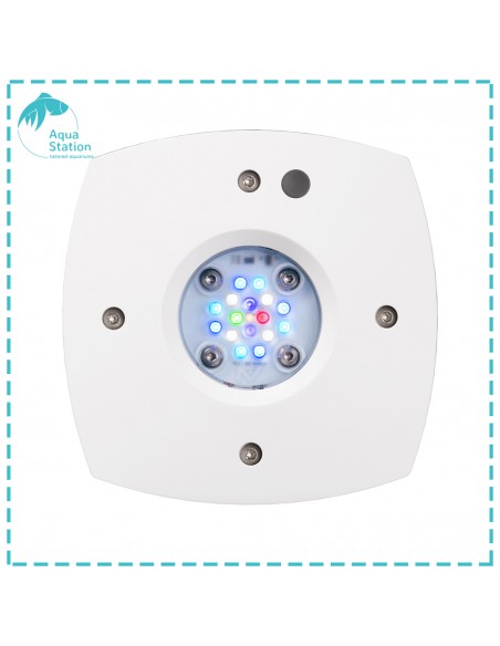 Iluminação AI, Reef Prime 16HD