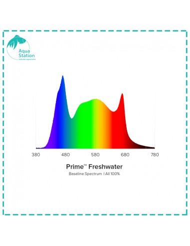iluminação AI, Prime Freshwater