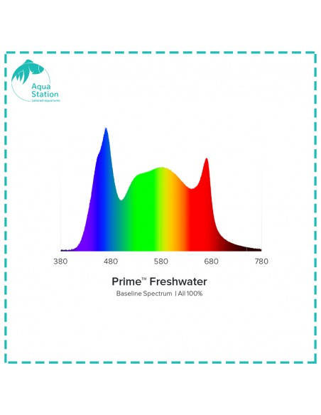 iluminação AI, Prime Freshwater