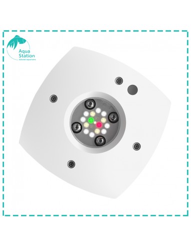 iluminação AI, Prime Freshwater