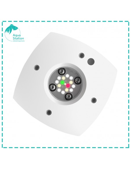 iluminação AI, Prime Freshwater