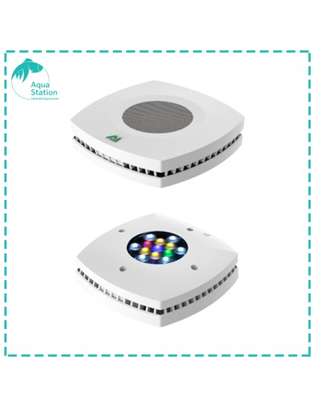 iluminação AI, Prime Freshwater