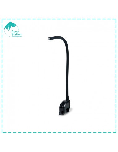 Acessórios Iluminação AI, Prime