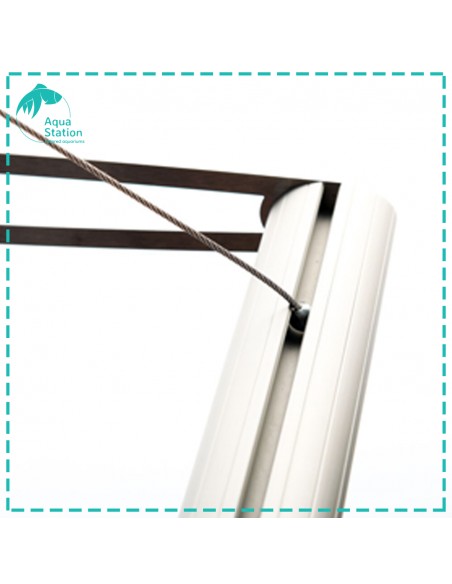 Sistema AI, Hydra D-D Twin Rail