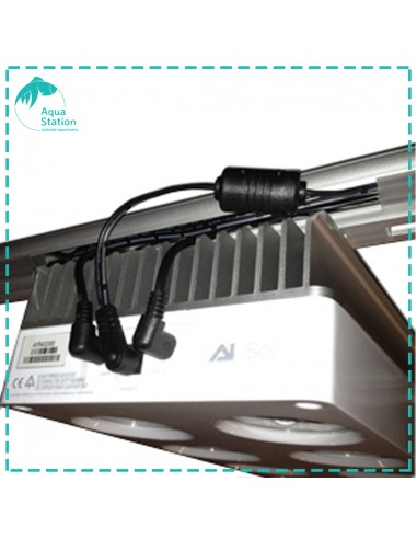 Sistema AI, Hydra D-D Twin Rail