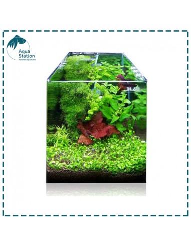 Aquário Cubic Panoramic