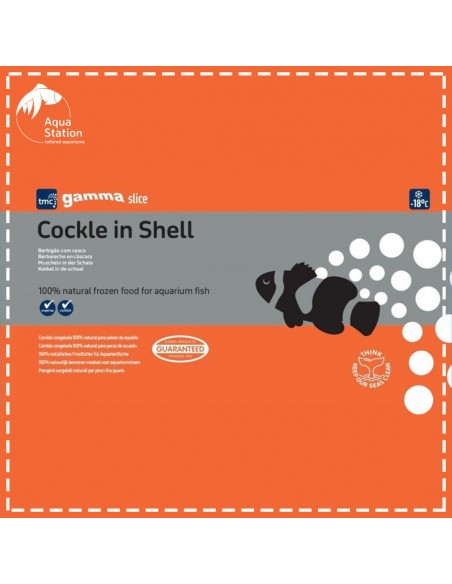 Gamma Slice Cockle in Shell