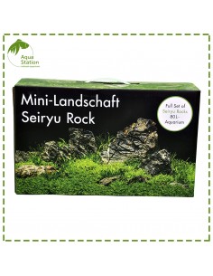 Set Mini Landscape 2