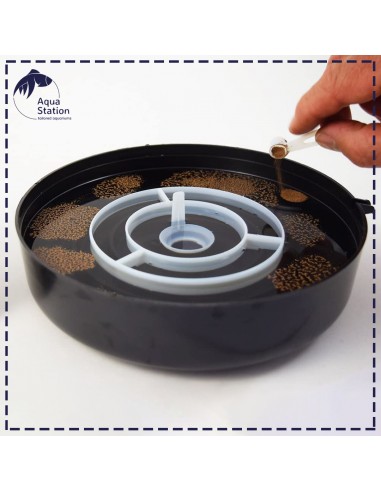 Hobby Artemia Hatchery