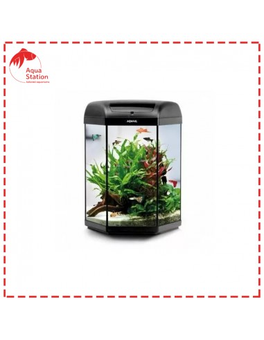 Aquael Hexa Set 60 D&N