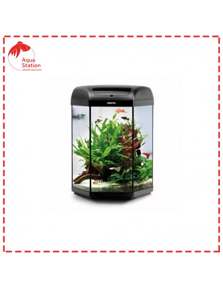 Aquael Hexa Set 60 D&N