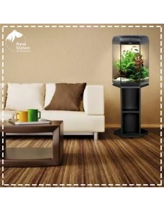 Aquael Hexa Set 60 D&N