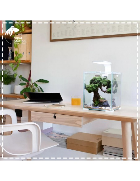 Aquael Shrimp Set Dia&Noite