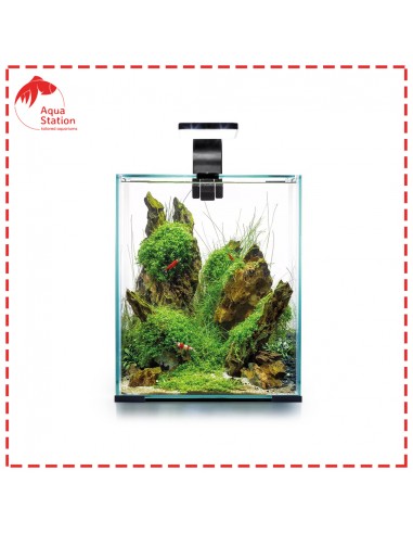 Aquael Shrimp Set Dia&Noite