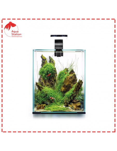 Aquael Shrimp Set Dia&Noite