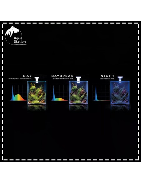 Aquael Shrimp Set Dia&Noite