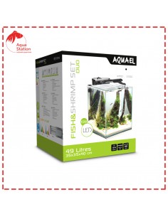 FISH & SHRIMP Set Duo Dia&Noite 2