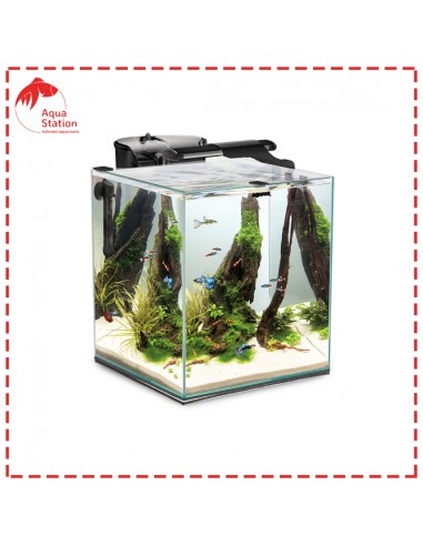 FISH & SHRIMP Set Duo Dia&Noite