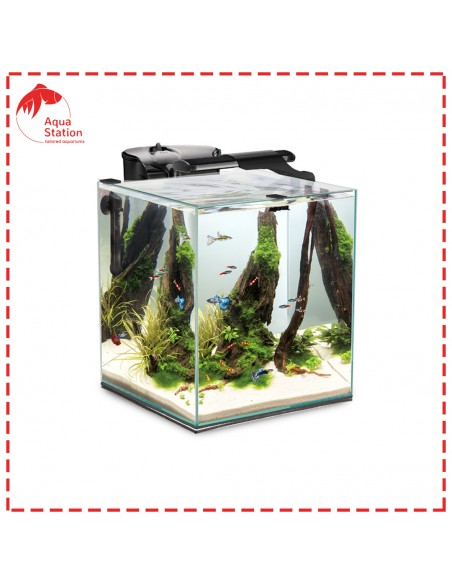 FISH & SHRIMP Set Duo Dia&Noite