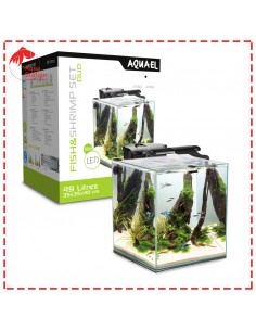 FISH & SHRIMP Set Duo Dia&Noite