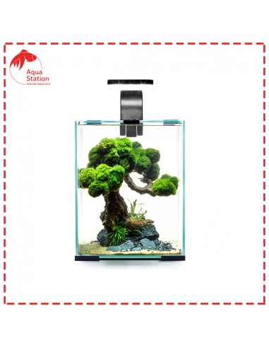 Mesa para aquários Shrimp Set Dia&Noite