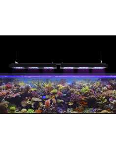 Um novo nível de eficiência e design  Desenvolva do zero com uma nova visão para um dispositivo elegante, discreto e leve, sem c