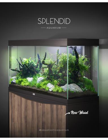 Aquários SPLENDID - c/ Biobox