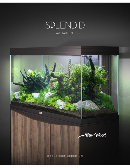 Aquários SPLENDID - c/ Biobox