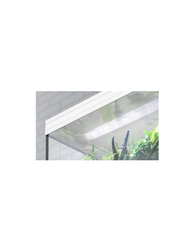 Aquários SPLENDID - c/ Biobox