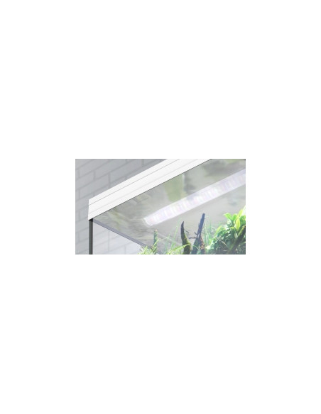 Aquários SPLENDID - c/ Biobox