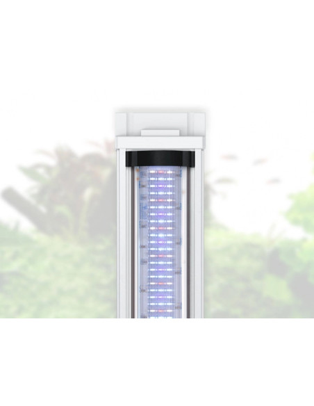 Aquários SPLENDID - c/ Biobox