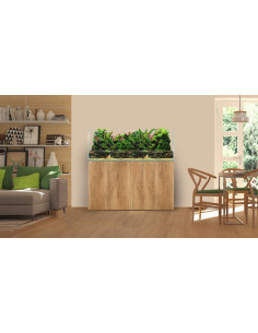 Aquário WaterBox Terra