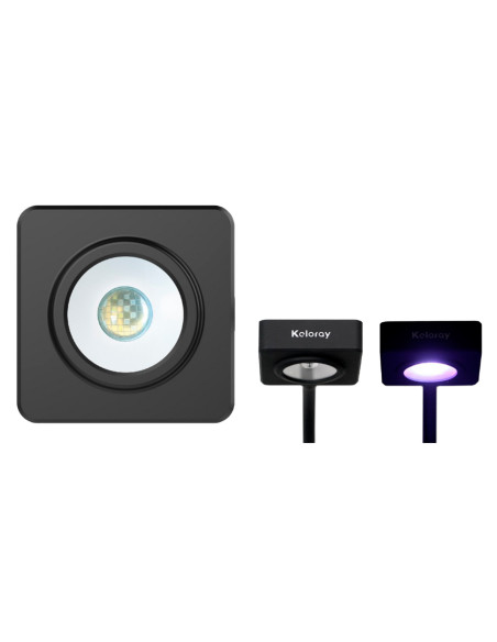 Keloray Reef AN-LED