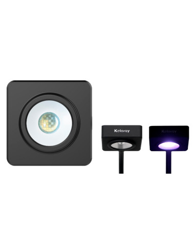 Keloray Plant AN-LED