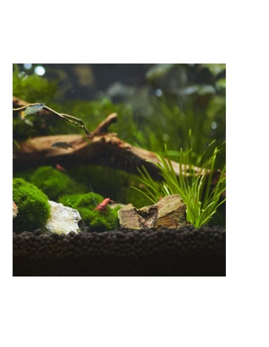 aquasolum. Black humate 2 kg