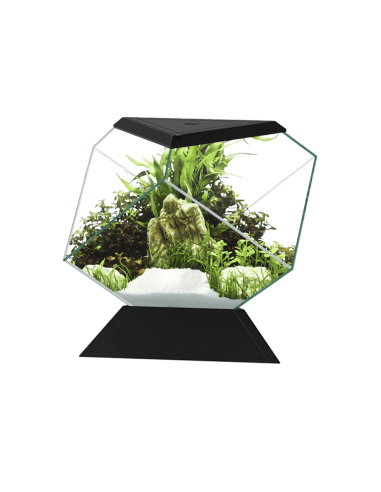 Aquário Nexus Pure