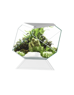 Aquário Nexus Pure 2