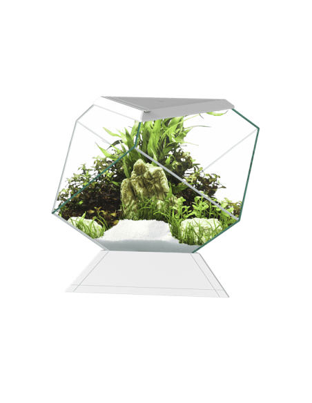 Aquário Nexus Pure