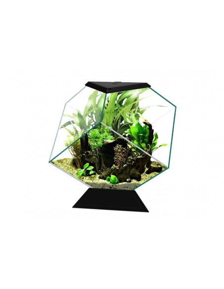 Aquário Nexus Pure