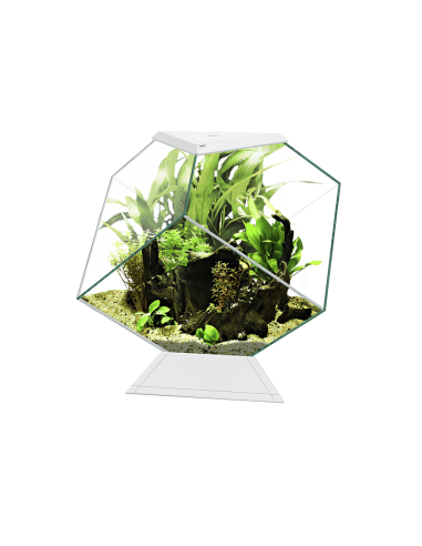 Aquário Nexus Pure